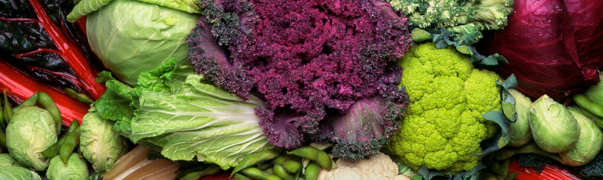 Cruciferous Vegetables Broccoli, Cauliflower, Kale