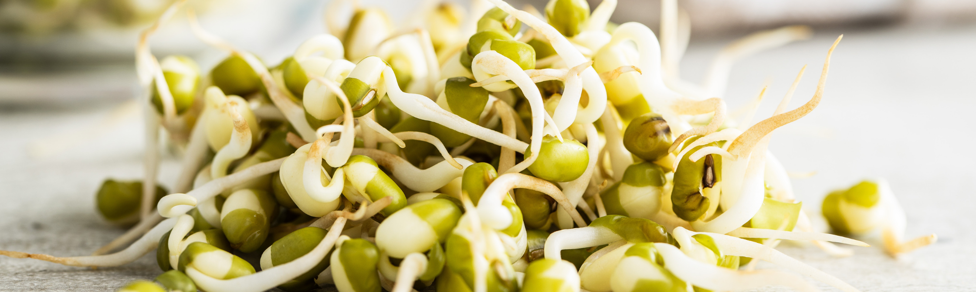 Mung Bean Sprouts