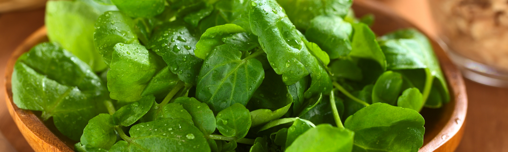 Water Cress