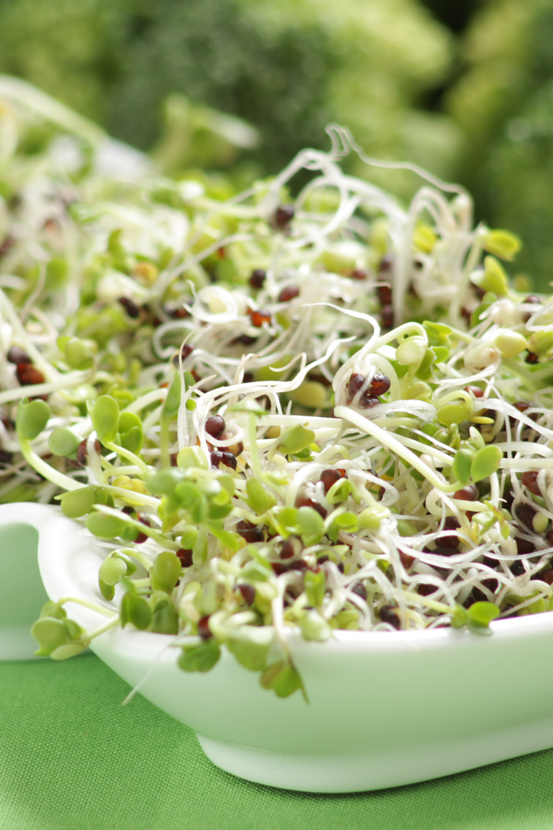 The Sulforaphane Switch: Turning On Your Body's Histamine Calming Genes