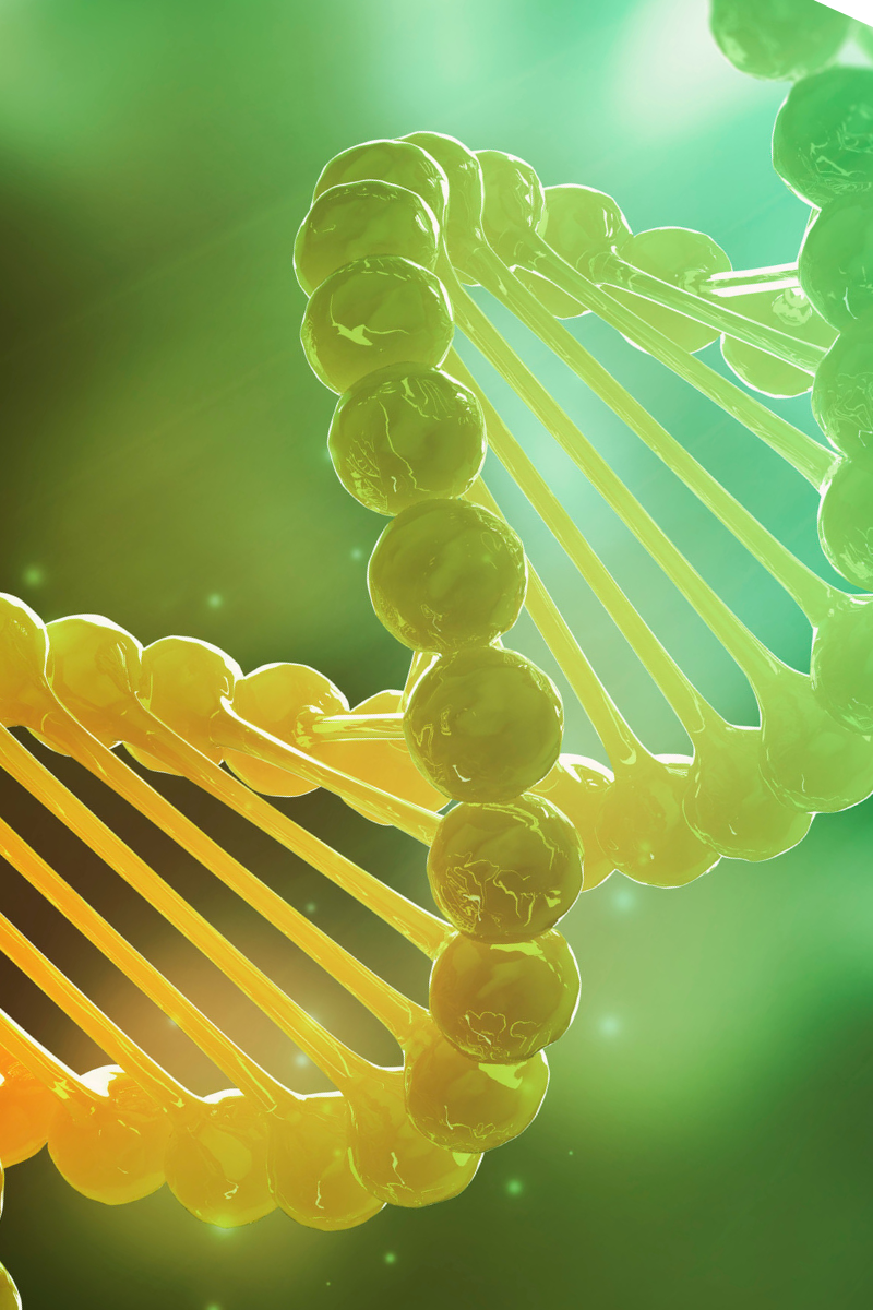 Histamine Intolerance Decoded: Gut, Hormones, Brain & the Genes Behind It All