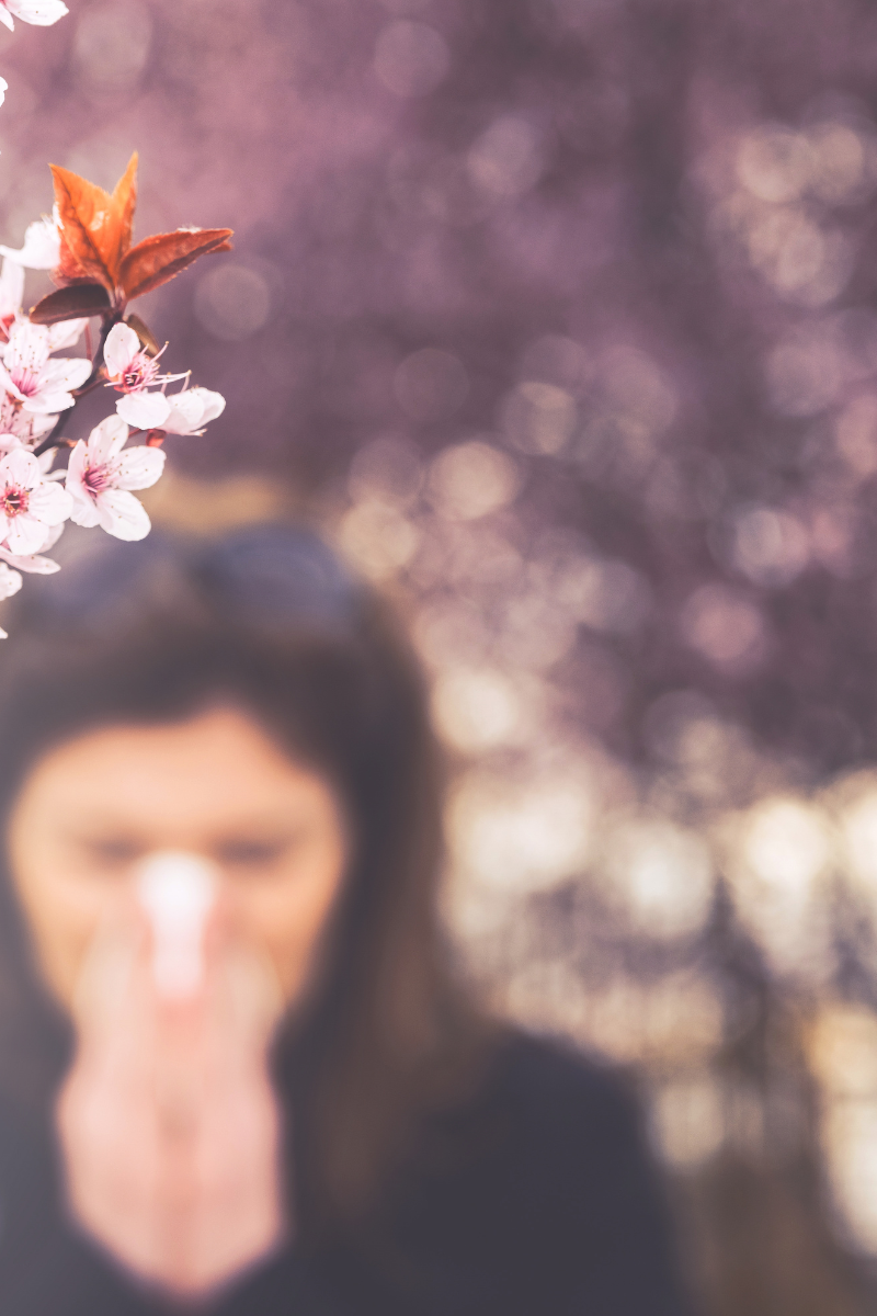 Sulforaphane, Gut Health, and Allergies: What You Need to Know